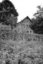 Bukovica